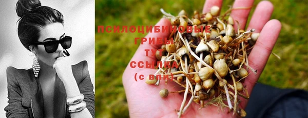 гашишное масло Балахна