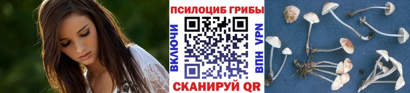 что такое   Пролетарск  Псилоцибиновые грибы мухоморы 
